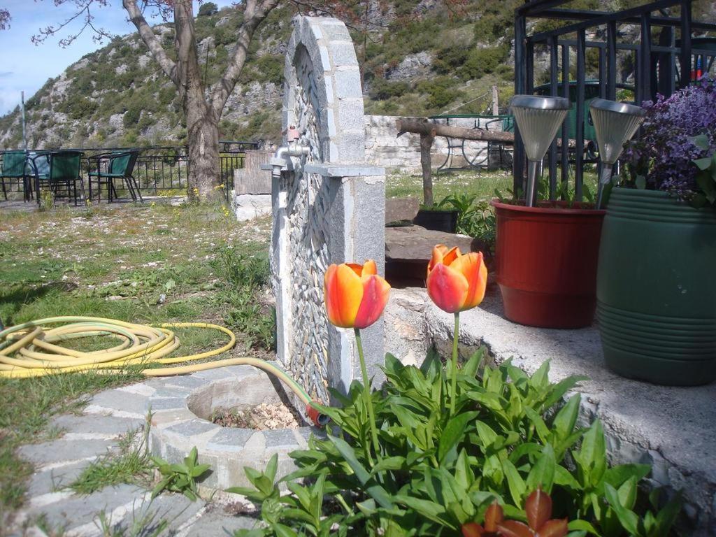 Terpsichori Guesthouse Kepésovon Exteriér fotografie